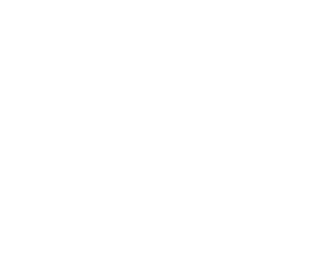 ACMFI Logo